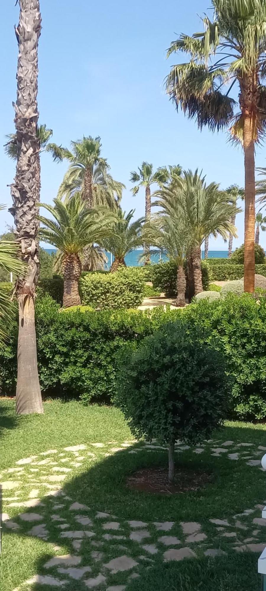 Beach View - Primera Linea Lujo 데니아 외부 사진
